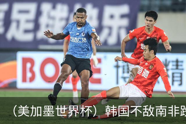 （美加墨世界杯）韩国不敌南非跌至小组第三 出线前景待定